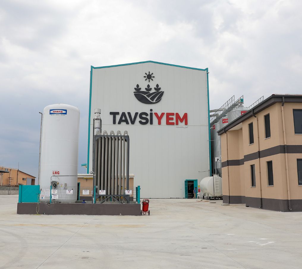 About Tavsiyem
