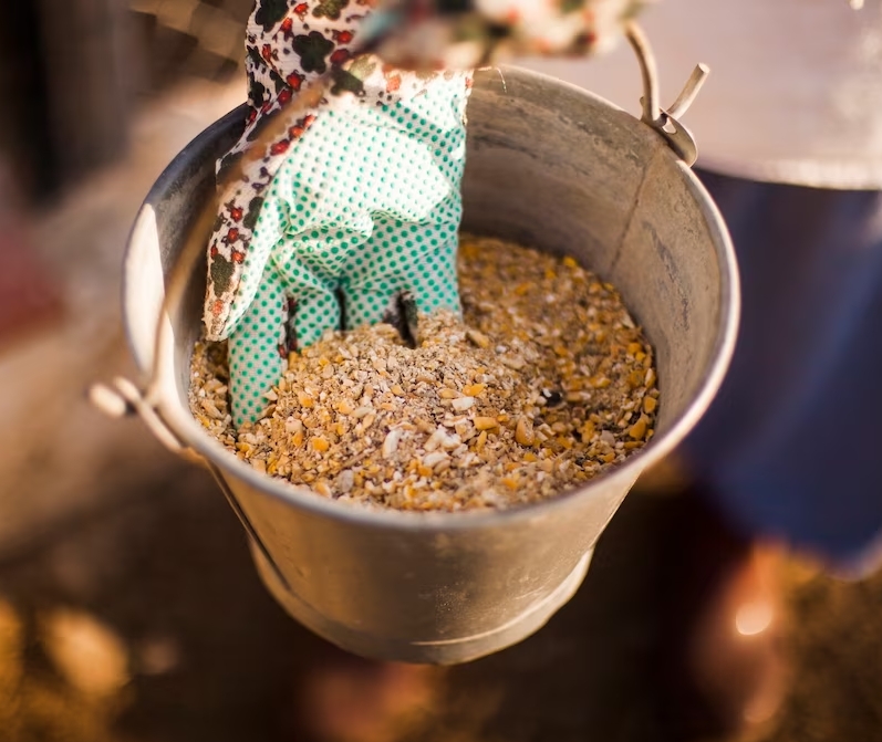Cattle Feed Group
