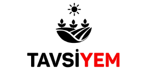 Tavsiyem